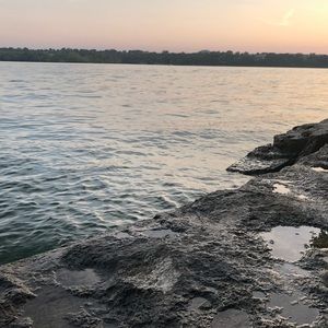 Meet your Posher, Tricia